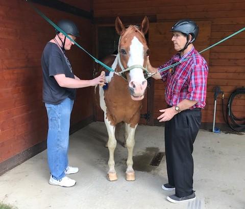 community-interact-freerein